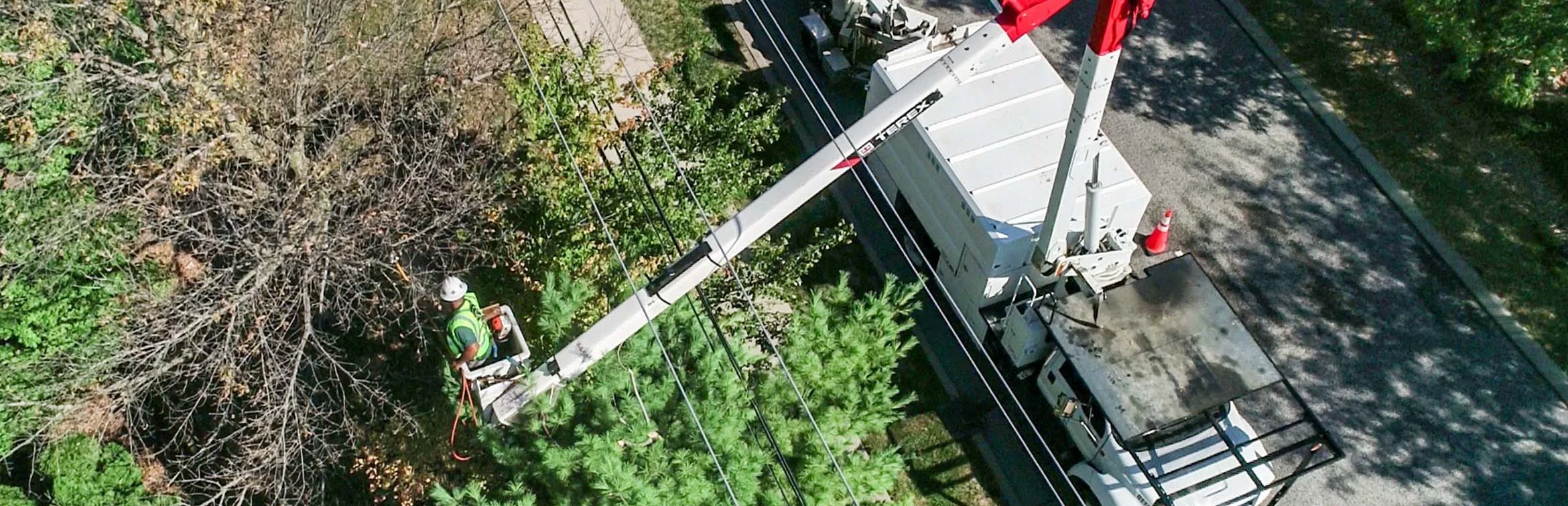 Thomas Tree & Stump Removal bucket truck at work
