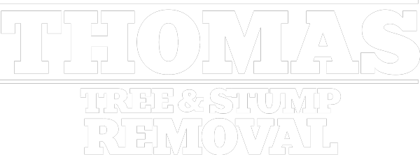 Thomas Tree and Stump Removal